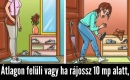 Briliáns elméd van, ha rájössz, melyik nőnek van kutyája