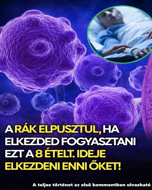 7 eros rakellenes etel