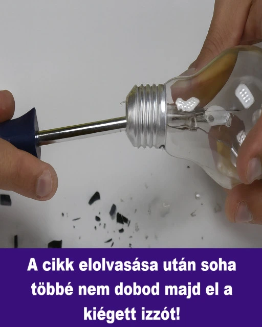 A cikk elolvasasa utan soha tobbe nem dobod majd el a kiegett izzot