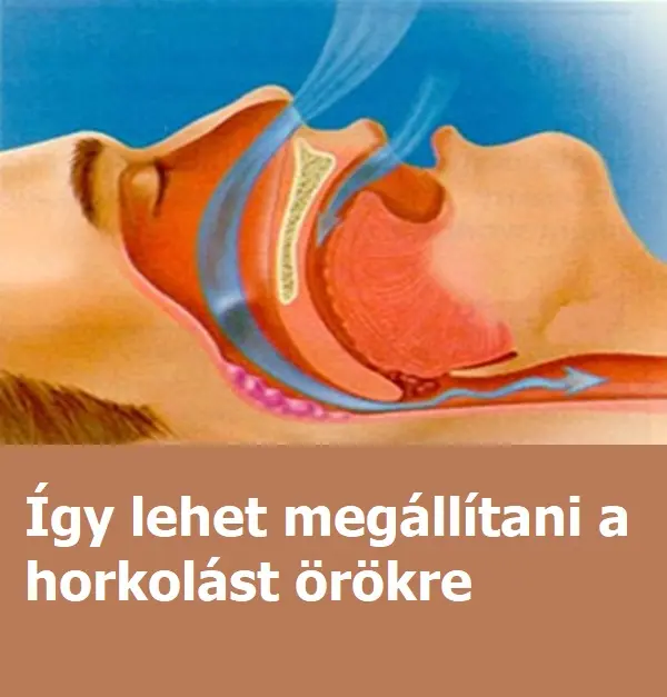 alkati horkolas