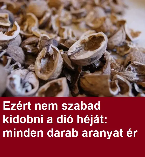 diohej 1