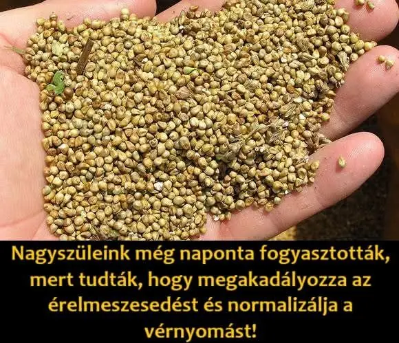 erelmeszesdes8621943421 n