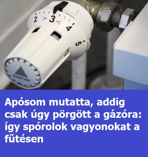 gazora 123l