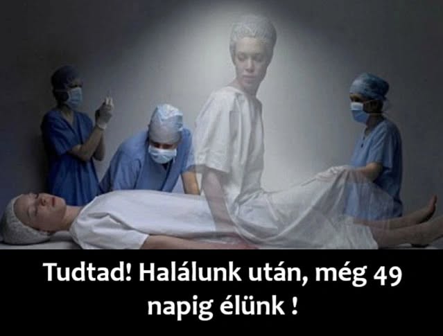 halalutan n