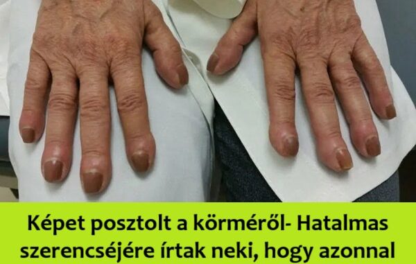 korme