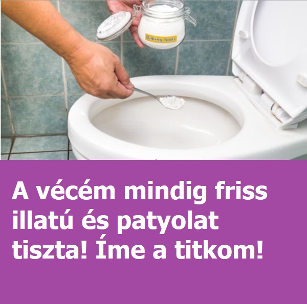 wc77316278421 n