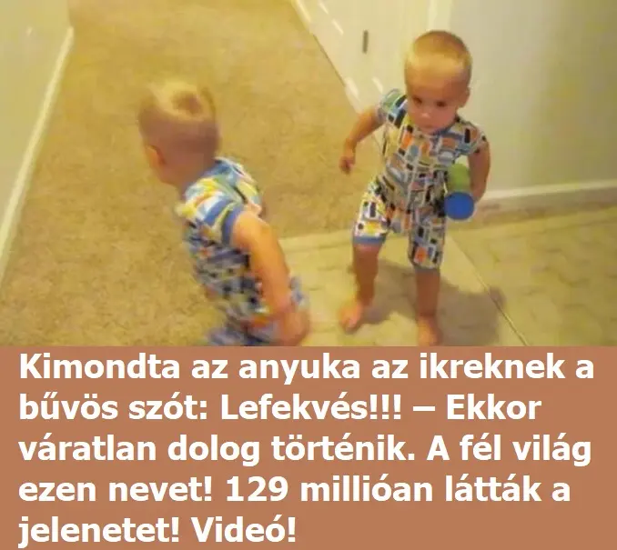ikrek381