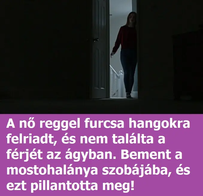 nobemegy093407 678x381