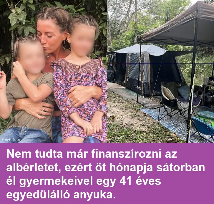 satorbanel wm