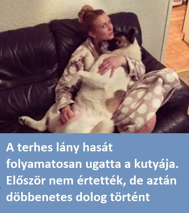 1bQktkqTURBXy9iNjA1NTcyZDE5NTcyYzk0ZGQwOTg0NDg0OTE1Y2Y1MS5qcGVnkpUDAQnNA-fNAjGTBc0DFM0BvA terheslanykutya56