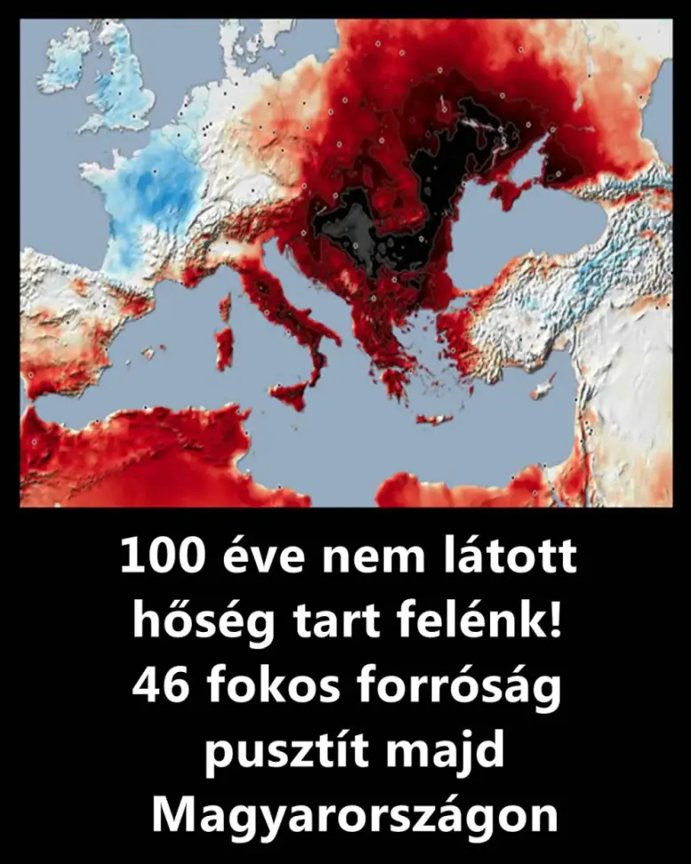 hoseg4 3813099810546227855 n
