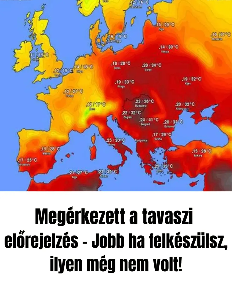 tavasz8764422 n