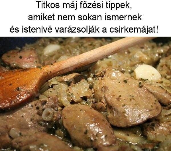 csirkemaj 1