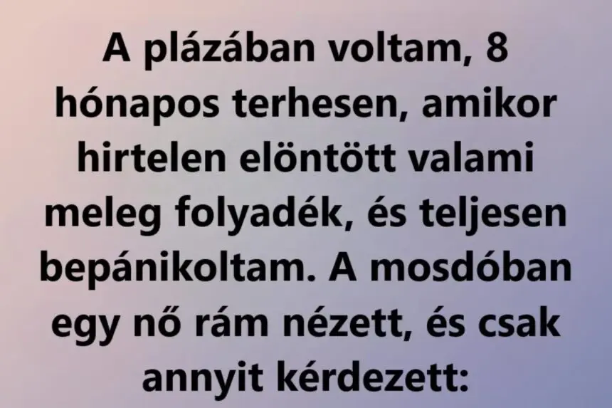 plazabanbepanikoltam73